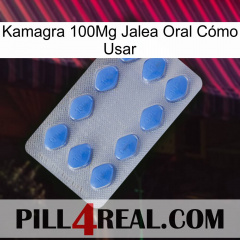 Kamagra 100Mg Jalea Oral Cómo Usar 21